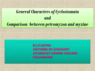 General Characters and Comparison of Cyclostomata: Petromyzon vs. Myxine