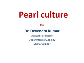 History and Culture of Pearls: A Comprehensive Overview by Dr. Devendra Kumar