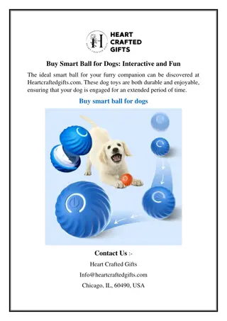 Buy Smart Ball for Dogs Interactive and Fun
