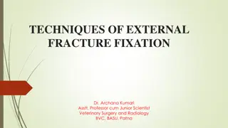 Techniques of External Fracture Fixation in Veterinary Surgery