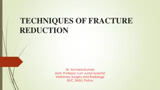 Techniques of Fracture Reduction in Veterinary Medicine