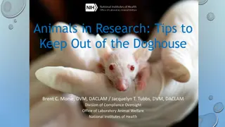 Animal Research Compliance and Reporting Overview