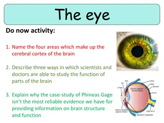 The Structures and Functions of the Eye