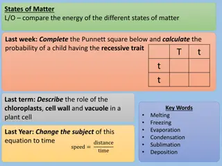 States of Matter: Energy and Changes