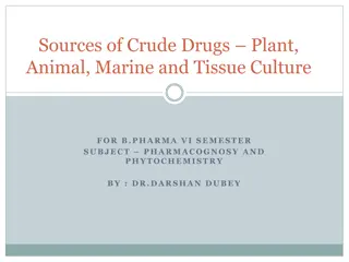 Sources of Crude Drugs: Plant, Animal, Marine, and Tissue Culture in Pharmacognosy
