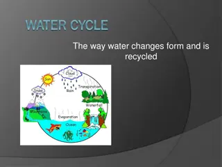 Understanding the Water Cycle and Environmental Conservation