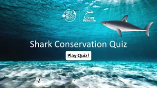 Shark Conservation Quiz Play - Test Your Knowledge on Protecting Shark Populations