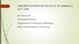 The Prevention of Cruelty to Animals Act, 1960 Overview