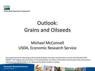 Grains and Oilseeds Outlook 2022: Factors Affecting US Markets