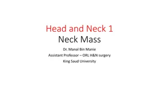 Neck Anatomy: Triangles, Glands, and Lymph Nodes