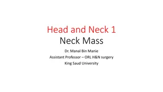 Understanding Neck Anatomy: Triangles, Glands, and Lymph Nodes