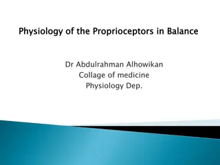 Proprioceptors and Their Role in Body Balance