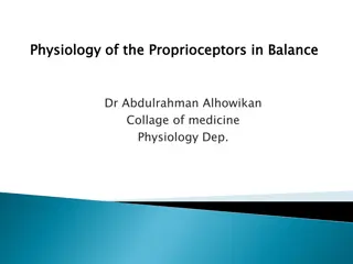 Understanding Proprioceptors and Their Role in Body Balance