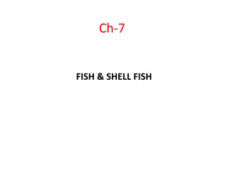 All About Fish and Shellfish: Types and Characteristics