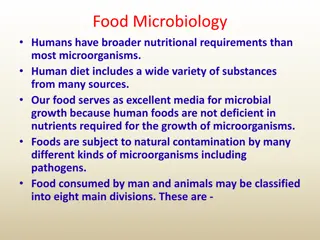 Understanding Food Microbiology: Sources of Contamination