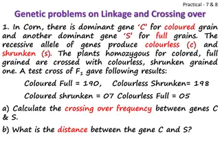 Genetic Linkage and Crossing Over Problems in Various Organisms
