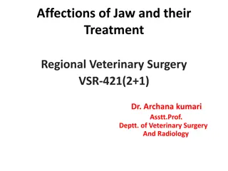 Veterinary Management of Jaw Affections and Treatments