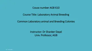 Laboratory Animal Breeding and Mutant Mouse Strains in Research