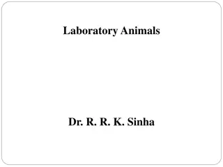 Laboratory Animals and Their Classification