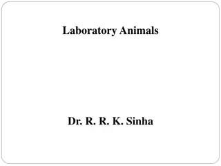 Understanding Laboratory Animals and Their Classification