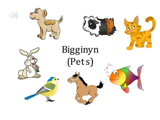 Discover Different Pets - Bigginyn, Moddey, and More!