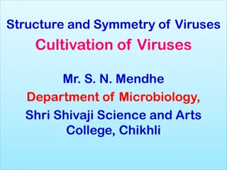 Understanding the Structure and Symmetry of Viruses along with Cultivation Methods