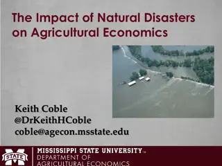 Agricultural Risk Management in the Face of Natural Disasters