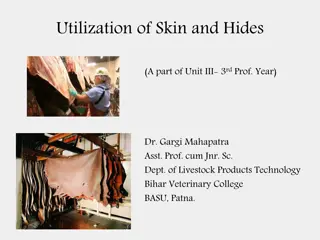 Skin and Hides Utilization in Livestock Products Technology
