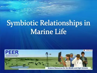 Understanding Symbiotic Relationships in Marine Life