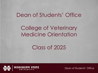 Dean of Students Office: Supporting Student Success at College of Veterinary Medicine