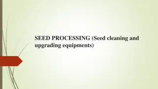 Efficient Layout Planning for Seed Processing Plant