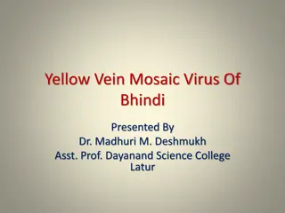 Yellow Vein Mosaic Virus of Bhindi