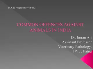 Common Offences Against Animals in India: Overview and Consequences