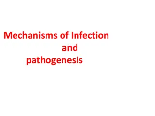 Virus Entry Mechanisms: Understanding Pathogenesis and Spread