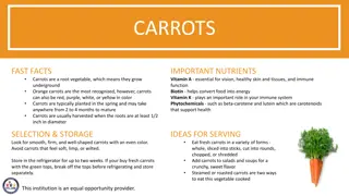 Exploring the World of Carrots: Facts, Nutrition, and Activities