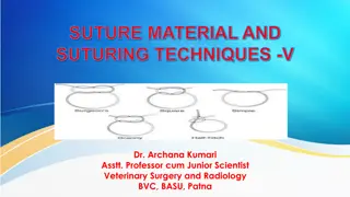 Veterinary Suturing Techniques and Materials Overview