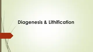 Understanding Diagenesis and Lithification in Sedimentary Rocks