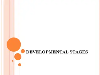 Dental Developmental Stages: Bud, Cap, and Bell Stages Explained