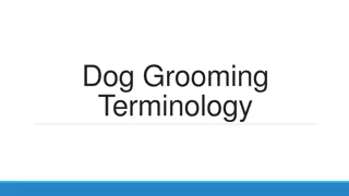 Essential Dog Grooming Techniques and Equipment