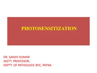 Understanding Photosensitization in Animals - Causes and Types
