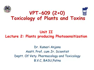Understanding Photosensitization in Plants: Toxicology and Effects