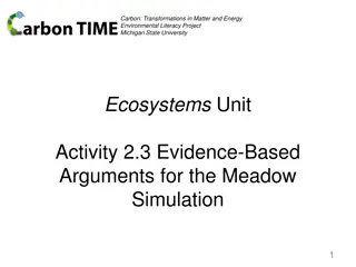 Carbon Transformations in Ecosystems: Meadow Simulation Analysis