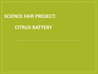 Citrus Battery Science Fair Project: Can Lemons, Limes, or Grapefruits Power a Christmas Light?