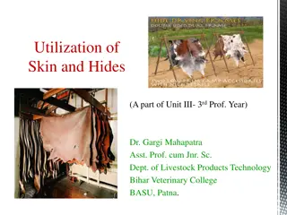 Hide and Skin Utilization in Livestock Industry