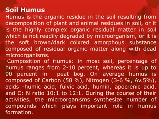 The Importance of Humus in Soil Health