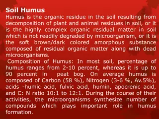 Understanding the Importance of Humus in Soil Health