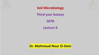 Composition of Soil Organic Matter in Soil Microbiology