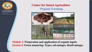 Understanding Green Manuring in Organic Farming: Types, Advantages, and Disadvantages