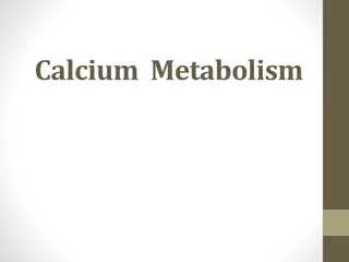 Calcium Metabolism: A Comprehensive Overview