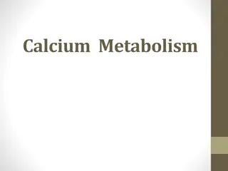 Understanding Calcium Metabolism: A Comprehensive Overview